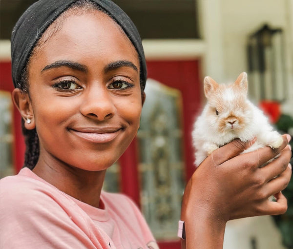 Broken Orange (white/orange) - XS - 07/08/25 - Prince Doodlebug - Male - Netherland Dwarf Rabbit