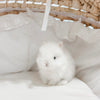 Blue Eyed White (BEW) - XS - 05/16/24 - Lucky - Female - Netherland Dwarf Rabbit (FUZZY)